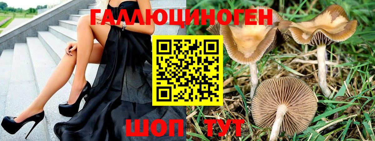 Галлюциногенные грибы Cubensis  где купить наркоту  Вязьма  Вход с VPN 