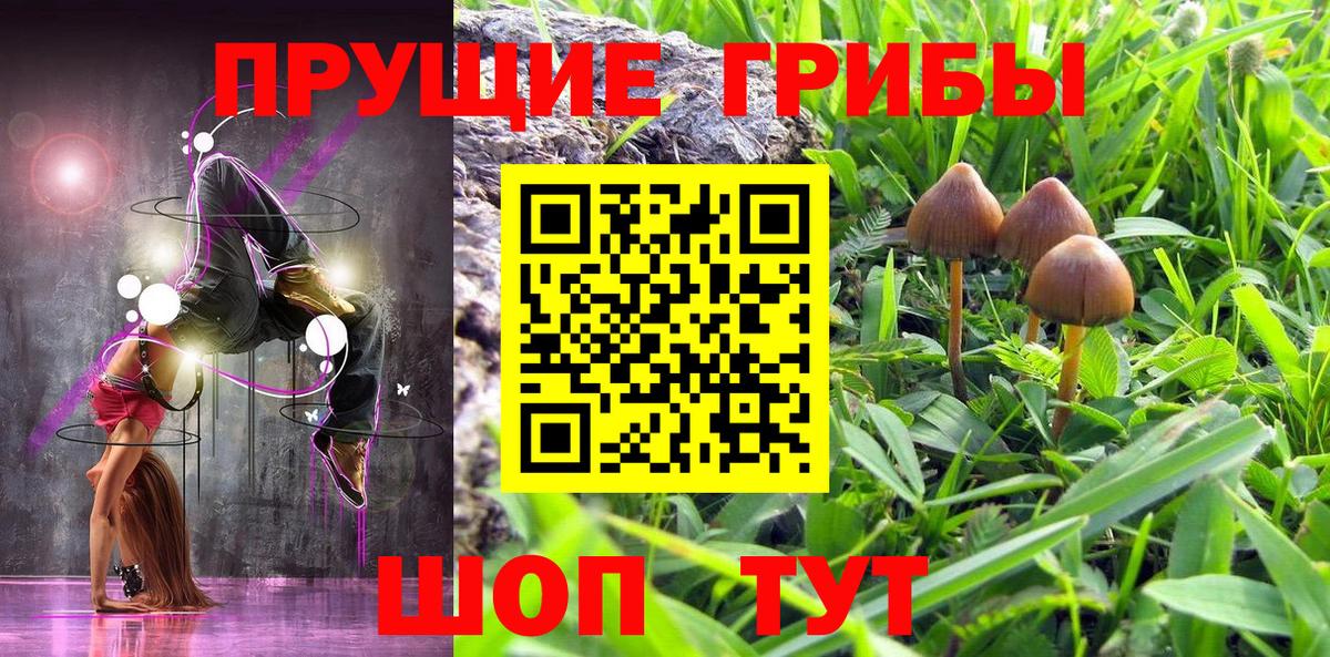 Галлюциногенные грибы Cubensis Вязьма